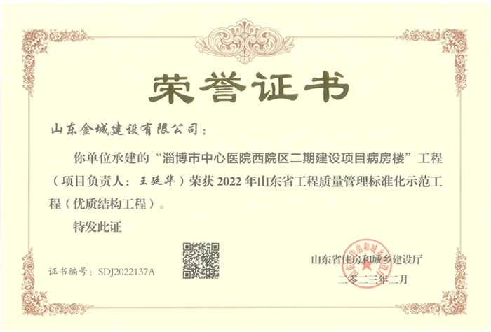 PJZL124-山东省工程质量治理标准化树模工程（优质结构工程）-淄博市中心医院西院区二期建设项目病房楼.jpg